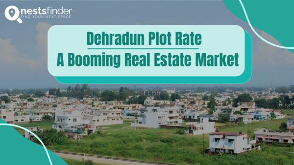 Dehradun Plot Rate